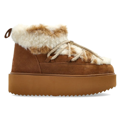 TEDDY PLATFORM